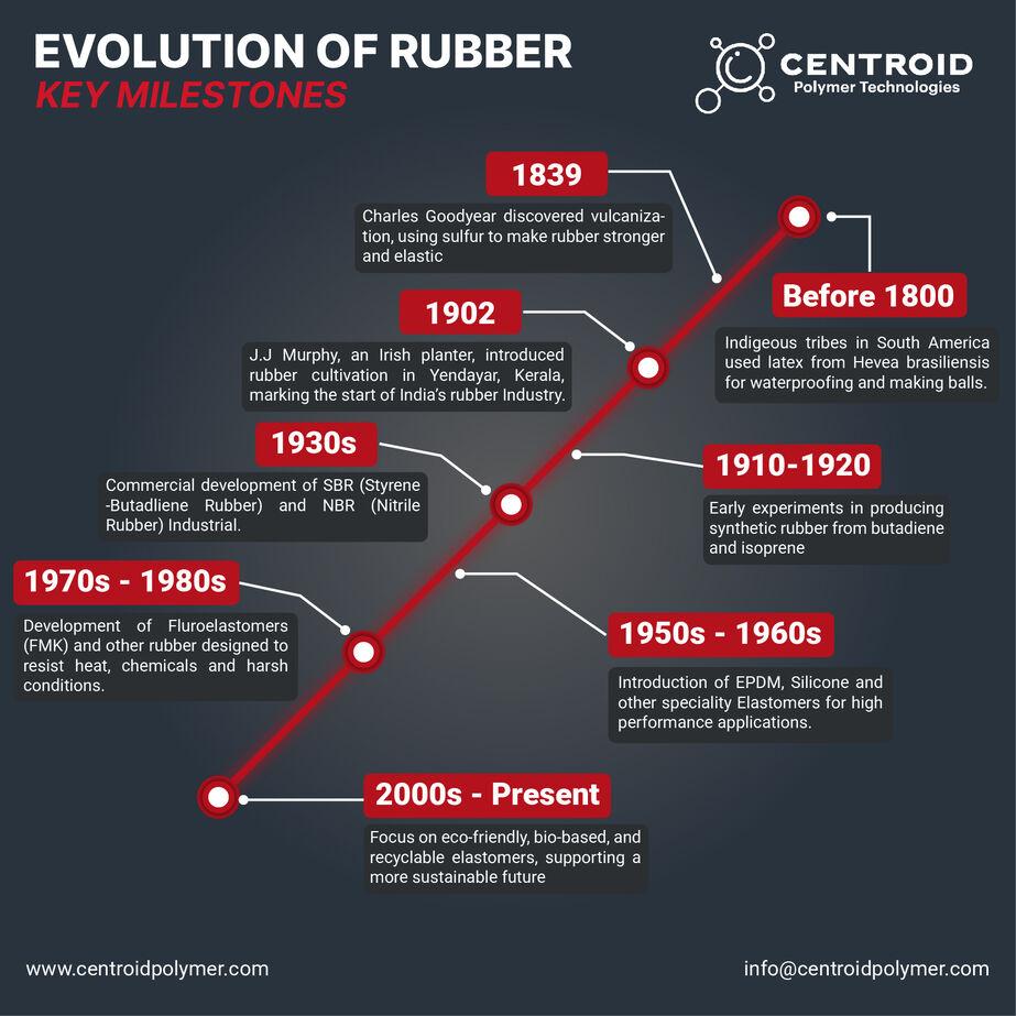 The Story of Rubber: From Tree Sap to High-Tech Polymers